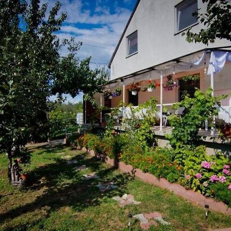 Hotel Casa Dany Corbu  Zewnętrze zdjęcie