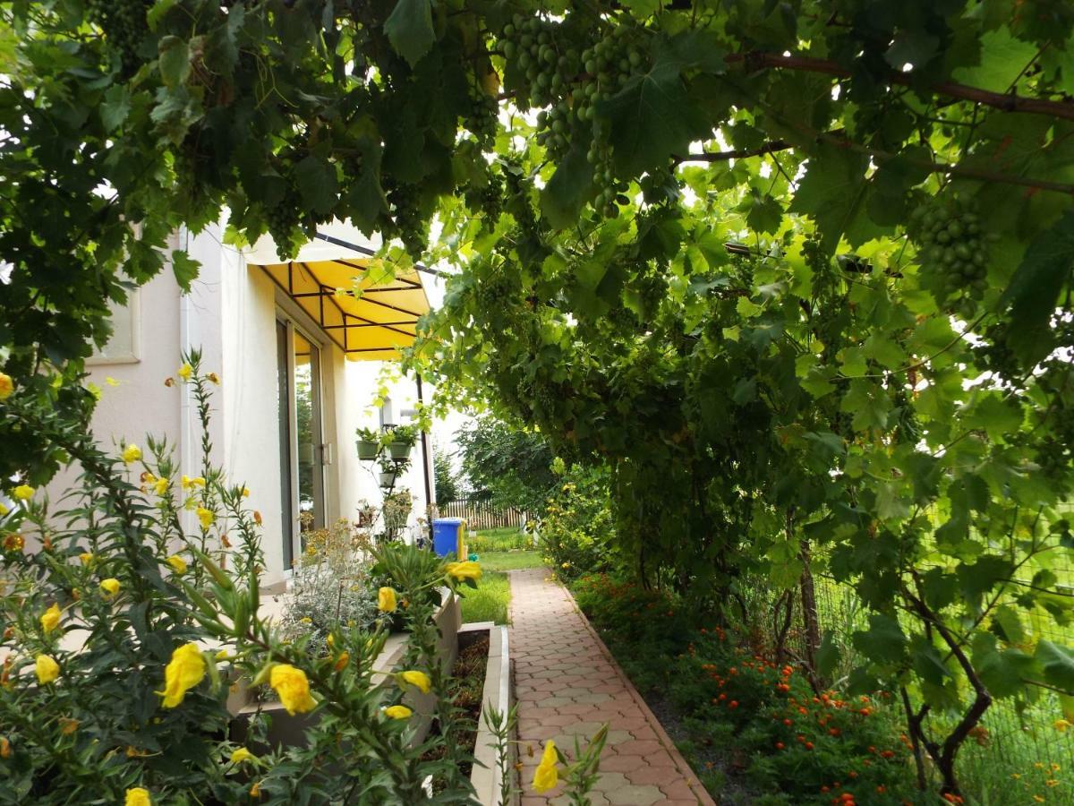 Hotel Casa Dany Corbu  Zewnętrze zdjęcie