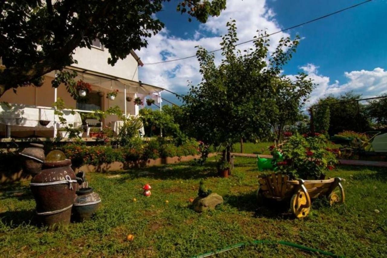Hotel Casa Dany Corbu  Zewnętrze zdjęcie